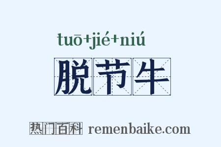 脱节牛是什么意思的图片